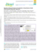 Image document