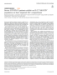 Image document