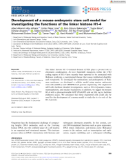 Vignette du fichier