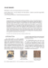 Image document