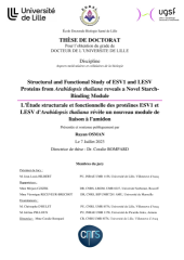 Vignette du fichier