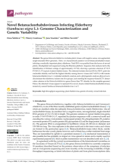 Vignette du fichier