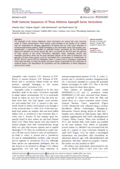 Vignette du fichier