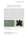 Image document