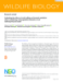 Image document