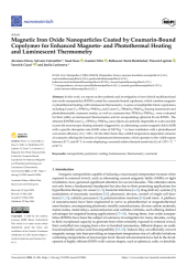 Vignette du fichier