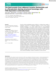 Vignette du fichier