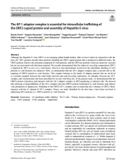 Vignette du fichier