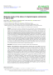 Image document