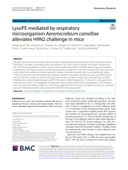 Vignette du fichier