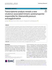 Vignette du fichier