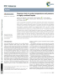 Image document