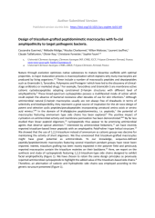 Vignette du fichier