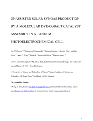 Vignette du fichier