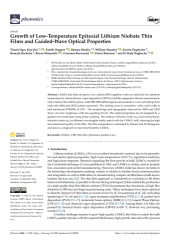 Vignette du fichier