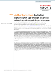 Vignette du fichier