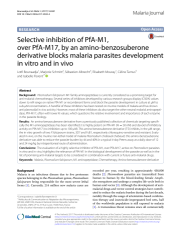 Vignette du fichier