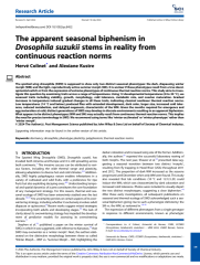 Vignette du fichier