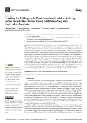 Vignette du fichier