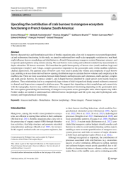 Vignette du fichier