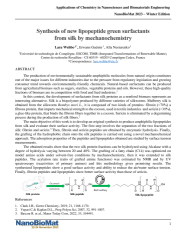 Vignette du fichier