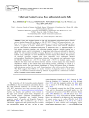 Vignette du fichier