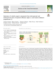 Vignette du fichier