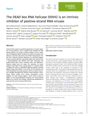 Vignette du fichier