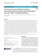 Vignette du fichier