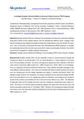 Vignette du fichier