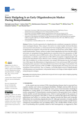 Vignette du fichier