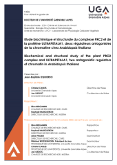 Vignette du fichier