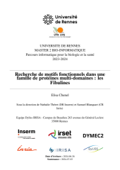 Vignette du fichier