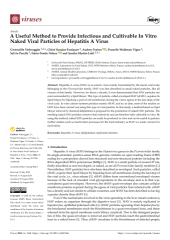 Vignette du fichier