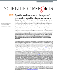 Vignette du fichier