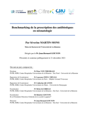 Vignette du fichier