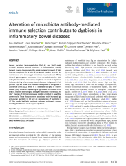 Vignette du fichier