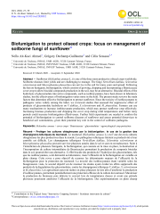 Vignette du fichier