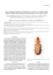 Image document