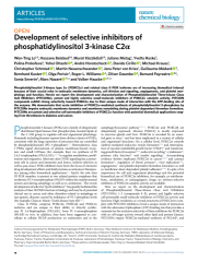 Vignette du fichier