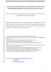 Vignette du fichier