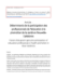 Image document