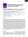 Image document