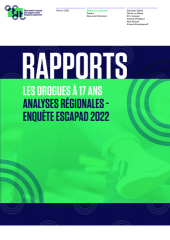 Vignette du fichier