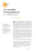 Image document