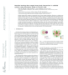 Image document
