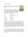 Image document