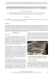 Image document