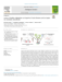 Image document