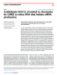 Image document